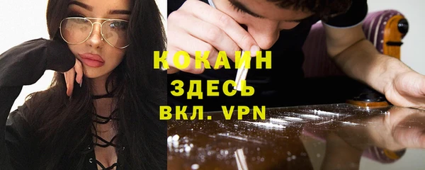 индика Баксан