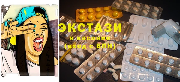 индика Баксан