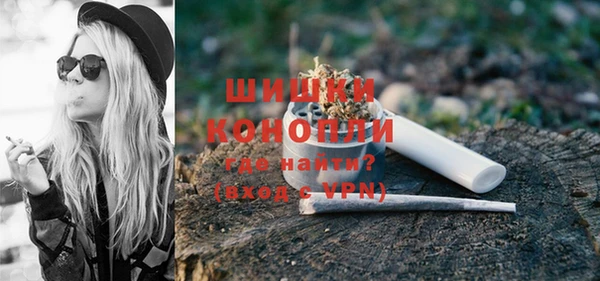индика Баксан