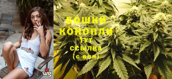 тгк Сатка
